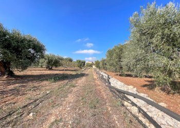 Foto 50 - Rustico Contrada Gorgorenzo, Conversano - foto 50