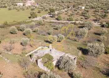 Foto 25 - Baita Contrada Virbo, Monopoli - foto 25