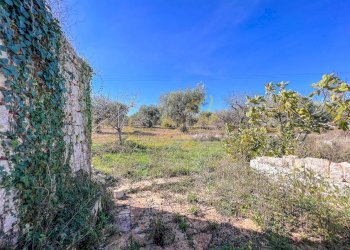 Foto 34 - Baita Contrada Virbo, Monopoli - foto 34