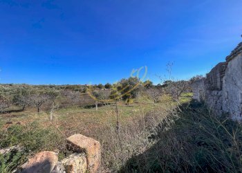 Foto 35 - Baita Contrada Virbo, Monopoli - foto 35