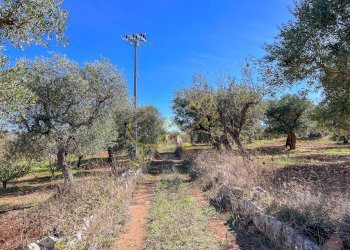 Foto 41 - Baita Contrada Virbo, Monopoli - foto 41