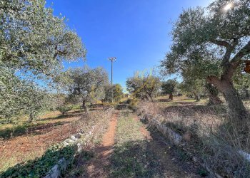 Foto 42 - Baita Contrada Virbo, Monopoli - foto 42