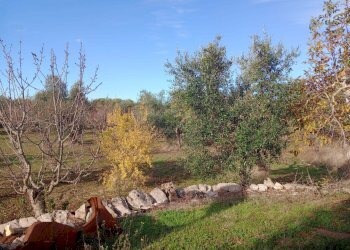 Foto 8 - Baita Strada Comunale Fanelli, Castellana Grotte - photo 8