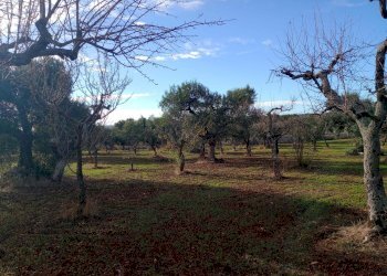 Foto 11 - Baita Strada Comunale Fanelli, Castellana Grotte - photo 11