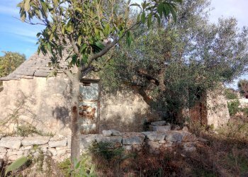 Foto 13 - Baita Strada Comunale Fanelli, Castellana Grotte - photo 13