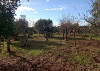 Foto 16 - Baita Strada Comunale Fanelli, Castellana Grotte - photo 16