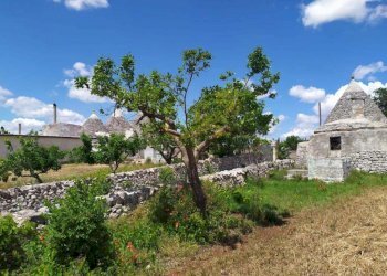 Foto 11 - Baita Strada Padula Cappa, Martina Franca - foto 11