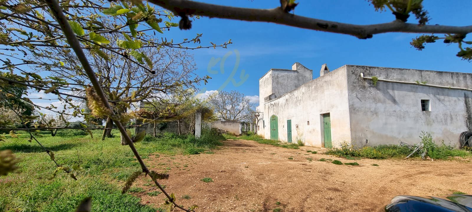 Foto 2 - Rustico Strada Comunale San Martino, Polignano a Mare - foto 2