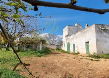 Foto 2 - Rustic Strada Comunale San Martino, Polignano a Mare - photo 2