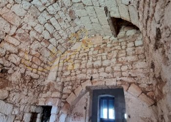 Foto 7 - Rustic Strada Comunale San Martino, Polignano a Mare - photo 7