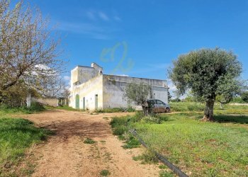 Foto 10 - Rustic Strada Comunale San Martino, Polignano a Mare - photo 10