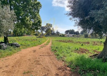Foto 11 - Rustic Strada Comunale San Martino, Polignano a Mare - photo 11