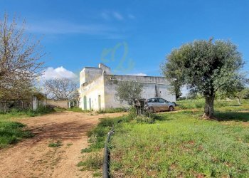 Foto 12 - Rustic Strada Comunale San Martino, Polignano a Mare - photo 12