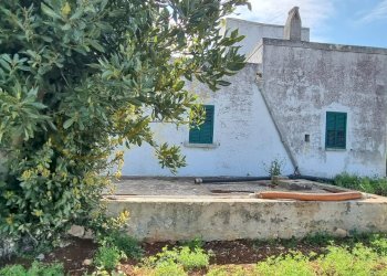 Foto 14 - Rustic Strada Comunale San Martino, Polignano a Mare - photo 14