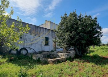 Foto 15 - Rustic Strada Comunale San Martino, Polignano a Mare - photo 15