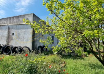 Foto 16 - Rustic Strada Comunale San Martino, Polignano a Mare - photo 16