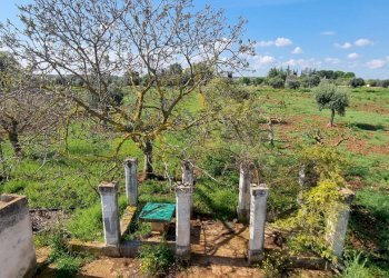 Foto 18 - Rustic Strada Comunale San Martino, Polignano a Mare - photo 18