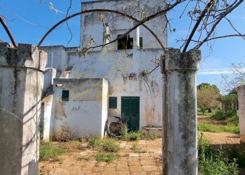 Foto 19 - Rustic Strada Comunale San Martino, Polignano a Mare - photo 19