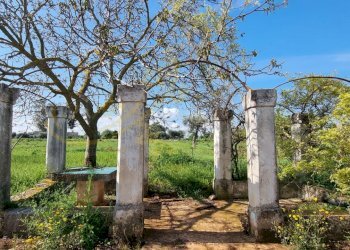 Foto 21 - Rustic Strada Comunale San Martino, Polignano a Mare - photo 21