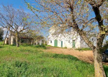 Foto 24 - Rustic Strada Comunale San Martino, Polignano a Mare - photo 24