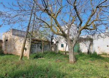 Foto 25 - Rustic Strada Comunale San Martino, Polignano a Mare - photo 25