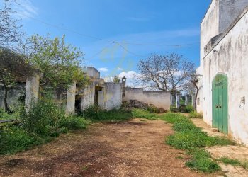 Foto 27 - Rustic Strada Comunale San Martino, Polignano a Mare - photo 27