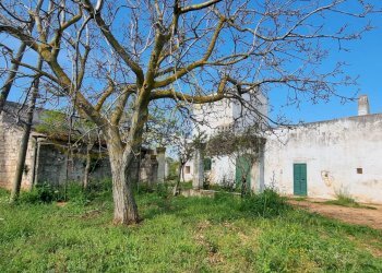 Foto 28 - Rustic Strada Comunale San Martino, Polignano a Mare - photo 28