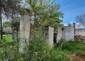 Foto 31 - Rustic Strada Comunale San Martino, Polignano a Mare - photo 31