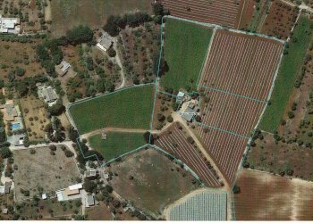 Foto 36 - Rustic Strada Comunale San Martino, Polignano a Mare - photo 33