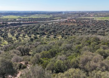 Foto 19 - Rustico Località Tutulmo-Contrada Orimini, Crispiano - foto 19