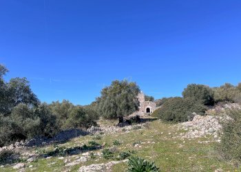 Foto 20 - Rustico Località Tutulmo-Contrada Orimini, Crispiano - foto 20