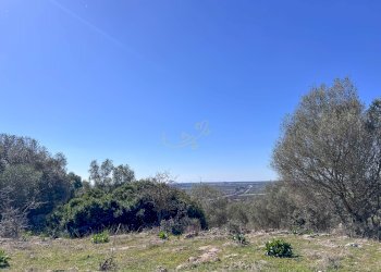 Foto 21 - Rustico Località Tutulmo-Contrada Orimini, Crispiano - foto 21