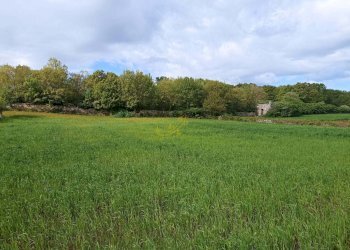 Foto 4 - Baita Via Villa Castelli, Martina Franca - photo 4