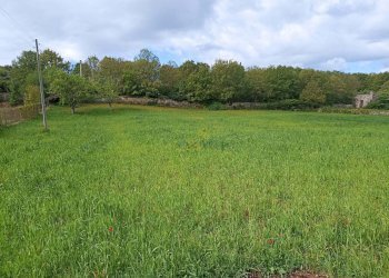 Foto 7 - Baita Via Villa Castelli, Martina Franca - photo 7