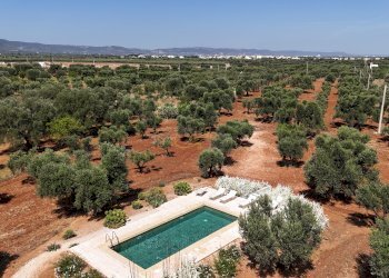 Foto 3 - Villa Speziale, Fasano - foto 3