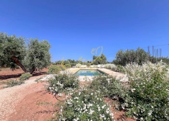 Foto 17 - Villa Speziale, Fasano - foto 17