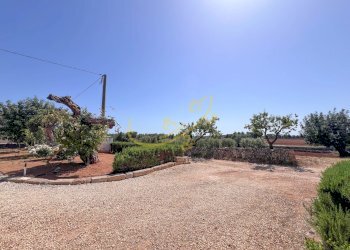 Foto 36 - Villa Speziale, Fasano - foto 36