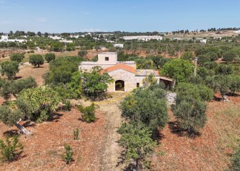 Foto 1 - Rustico Strada Comunale Fondo della Lupa, Polignano a Mare - foto 1