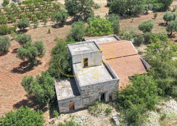 Foto 3 - Rustico Strada Comunale Fondo della Lupa, Polignano a Mare - foto 3