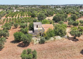 Foto 4 - Rustico Strada Comunale Fondo della Lupa, Polignano a Mare - foto 4