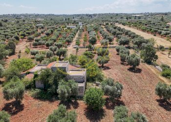 Foto 25 - Rustico Strada Comunale Fondo della Lupa, Polignano a Mare - foto 25