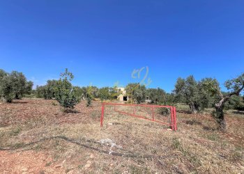 Foto 26 - Rustico Strada Comunale Fondo della Lupa, Polignano a Mare - foto 26