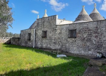 Foto 2 - Baita Strada provinciale Locorotondo-Cisternino, Locorotondo - foto 2