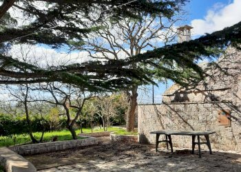 Foto 12 - Baita Strada provinciale Locorotondo-Cisternino, Locorotondo - foto 12