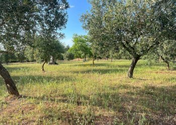 Foto 33 - Baita Strada Comunale Orbo, Alberobello - foto 33