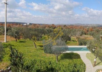 Foto 34 - Baita Strada Comunale Orbo, Alberobello - foto 34