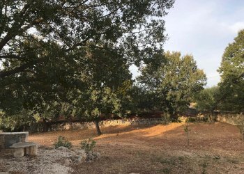 Foto 35 - Baita Strada Comunale Orbo, Alberobello - foto 35