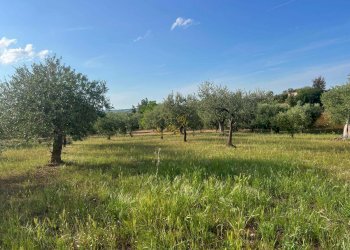 Foto 36 - Baita Strada Comunale Orbo, Alberobello - foto 36