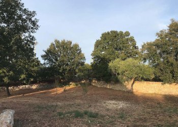 Foto 37 - Baita Strada Comunale Orbo, Alberobello - foto 37