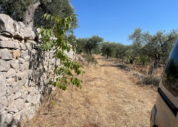 Foto 6 - Baita Contrada Torre Due Pani, Castellana Grotte - photo 6